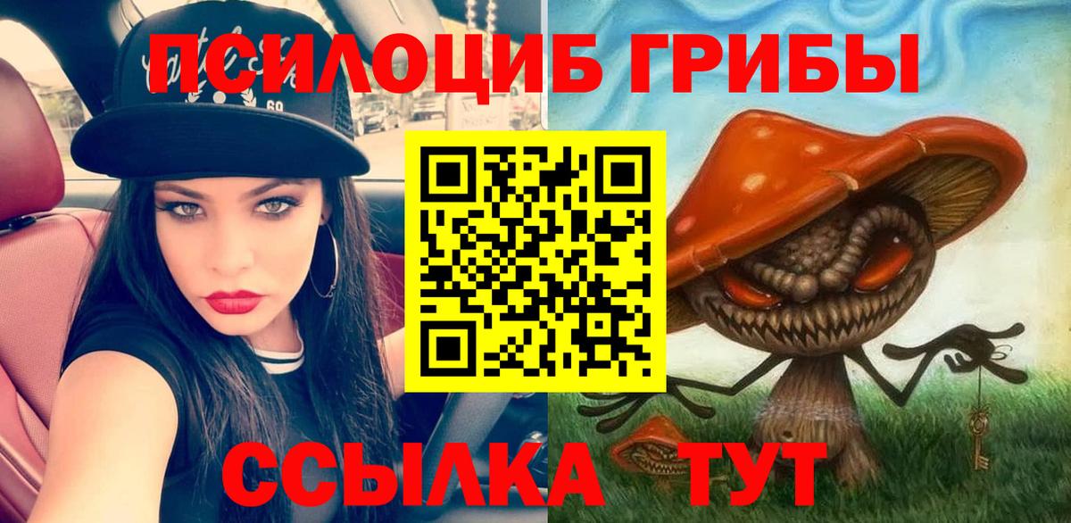 Псилоцибиновые грибы Cubensis  Вход с VPN  Камышлов 